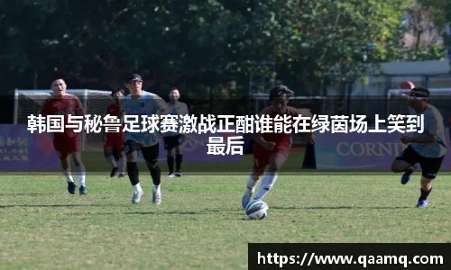 BG视讯官网